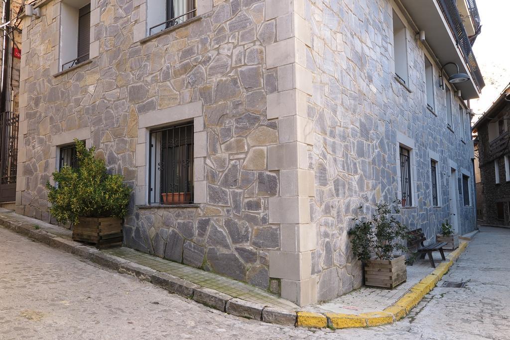 Apartamentos Casa Pochetas Bielsa Kültér fotó